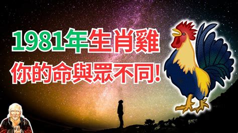 1981屬雞一生運|【1981 雞】1981 雞年運勢大揭密：五行、大運及 2024 年運程！